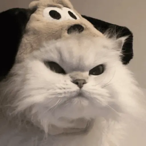 stickers_🐾_Gatitos_Anti-Depresivos_#➌