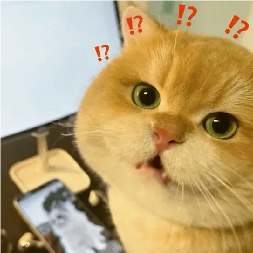 stickers_🐾_Gatitos_Anti-Depresivos_#➌