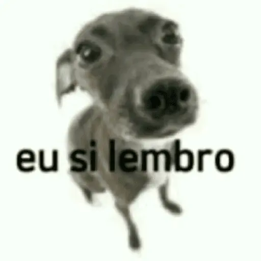 stickers_Memes._|_@ocenferios__𝐇aki.