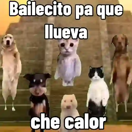 stickers_🔥_¡Que_calor!_🥵_