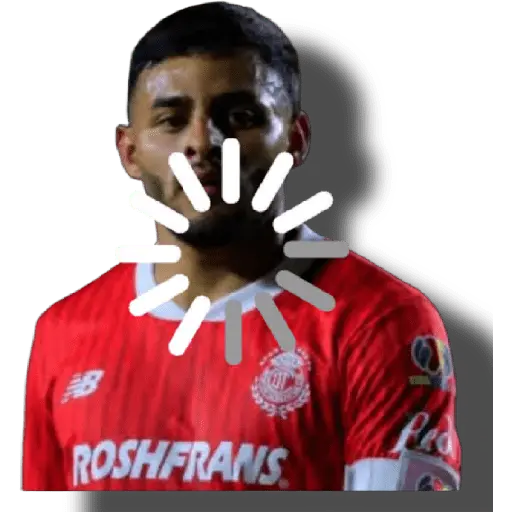 stickers_Toluca_⚽👑