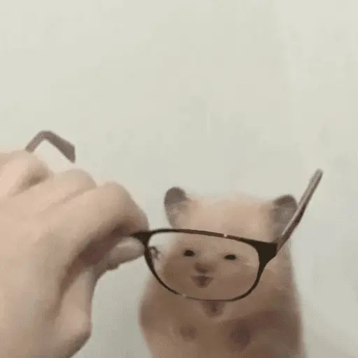 stickers_🐹_HAMSTERS_MOODCITOS_🐹