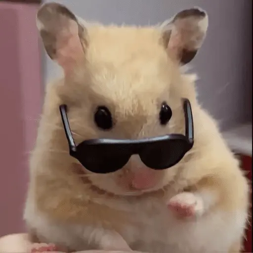 stickers_🐹_HAMSTERS_MOODCITOS_🐹