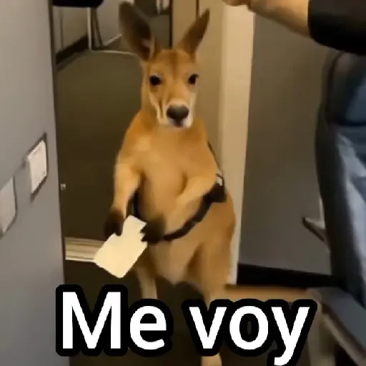 stickers_Canguro_2_🦘Tiktok_🔥