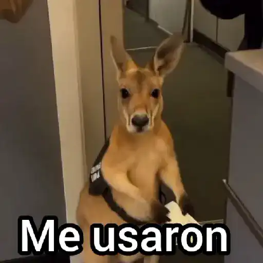 stickers_Canguro_2_🦘Tiktok_🔥