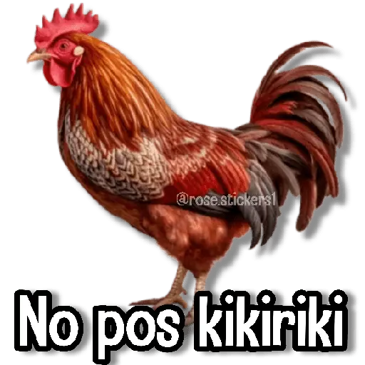 stickers_Memes_Pal_Grupo_2🗣️