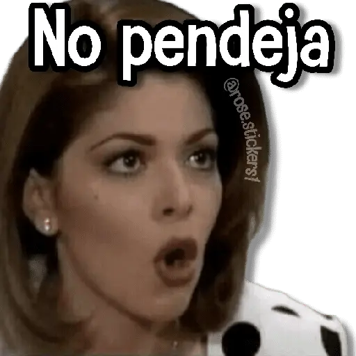 stickers_Memes_Pal_Grupo_2🗣️
