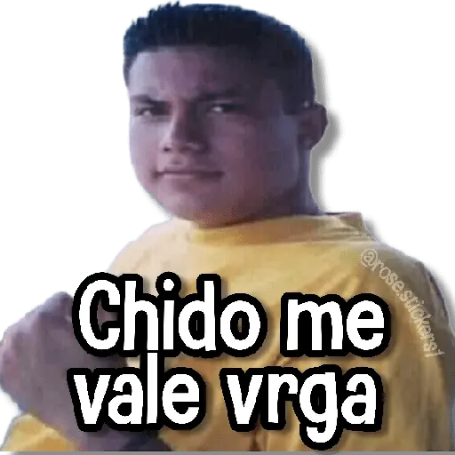 stickers_Memes_Pal_Grupo_2🗣️
