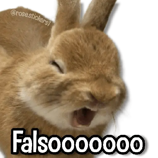 stickers_Memes_Pal_Grupo_2🗣️