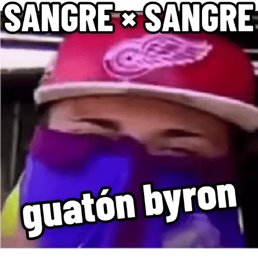 stickers_memes_chilenos_🇨🇱🔥
