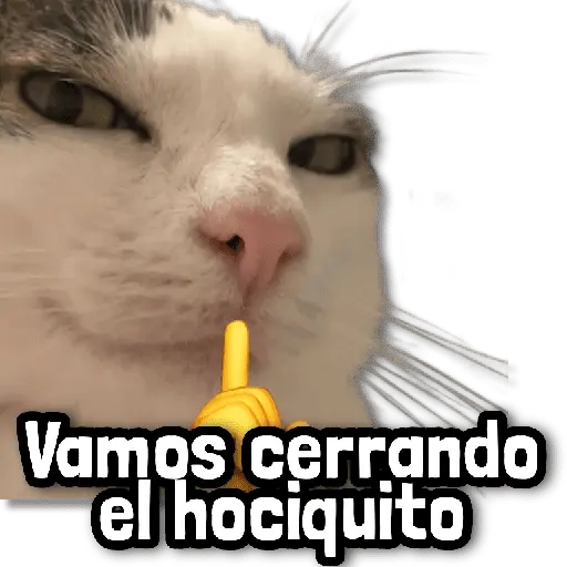 stickers_🎯_Stickers_sin_Filtro!_#➏