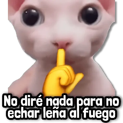stickers_🎯_Stickers_sin_Filtro!_#➏