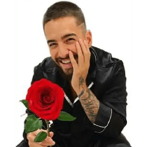 stickers_maluma_beibi