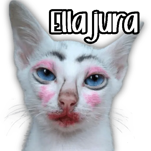 stickers_Ella_jura_🙄