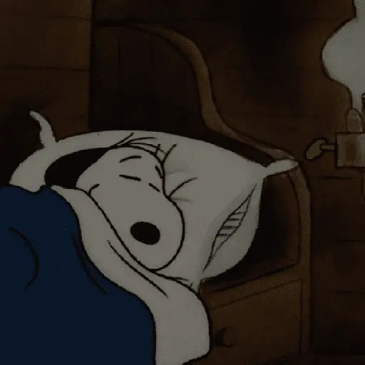 stickers_Snoopy_😴