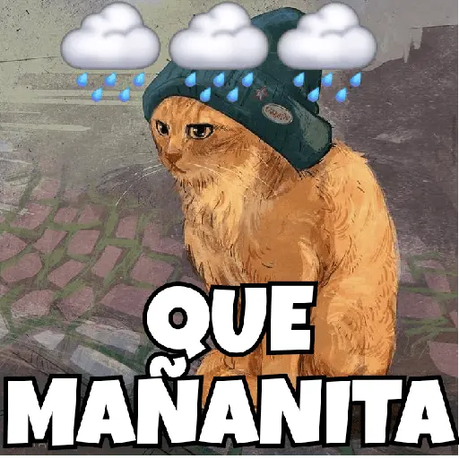 stickers_🌈🐈✨️Frases_Gatos_Memes✨️🐈⬛🌈