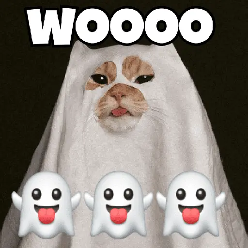 stickers_🌈🐈✨️Frases_Gatos_Memes✨️🐈⬛🌈