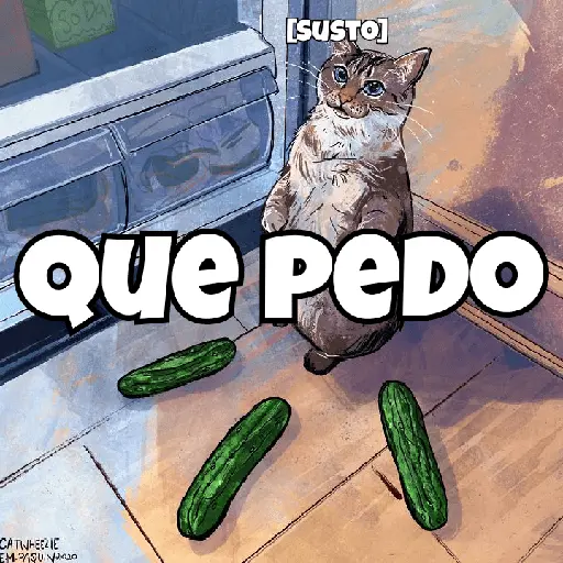 stickers_🌈🐈✨️Frases_Gatos_Memes✨️🐈⬛🌈