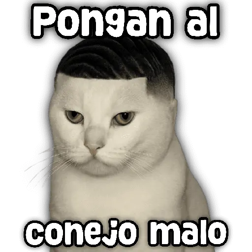 stickers_Animales_y_frases_📝🙂↕️