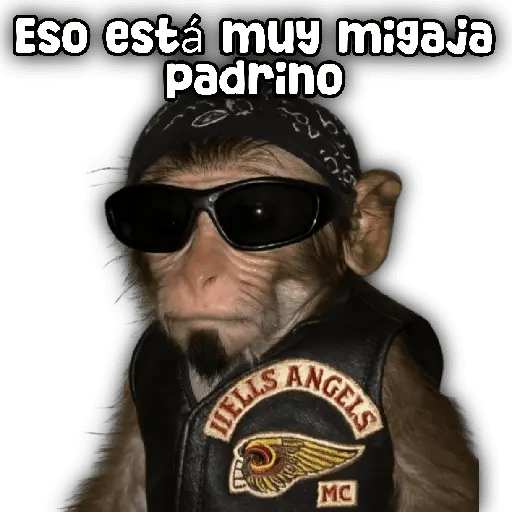 stickers_Animales_y_frases_📝🙂↕️