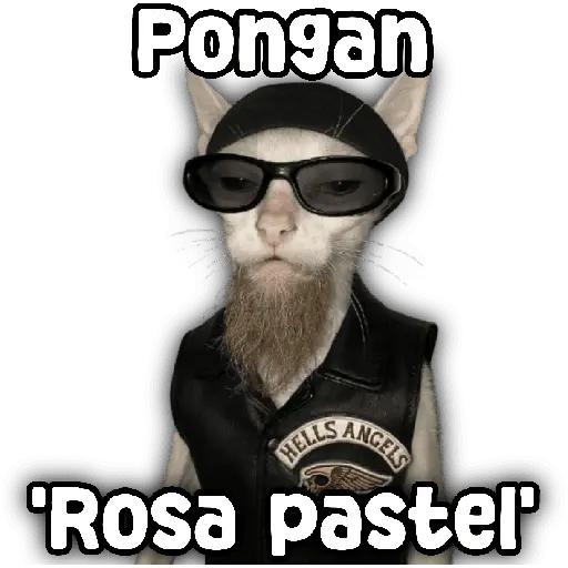 stickers_Animales_y_frases_📝🙂↕️