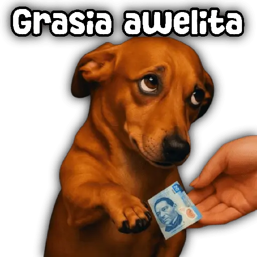 stickers_Animales_y_frases_📝🙂↕️