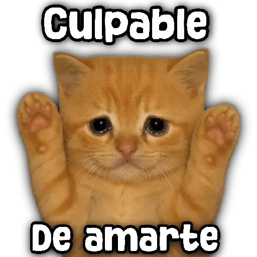stickers_Animales_y_frases_📝🙂↕️
