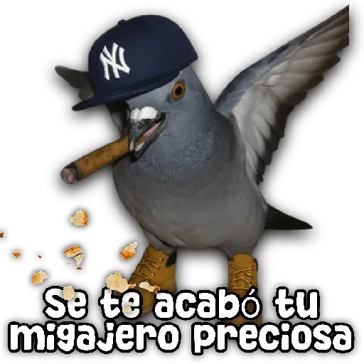 stickers_Animales_y_frases_📝🙂↕️