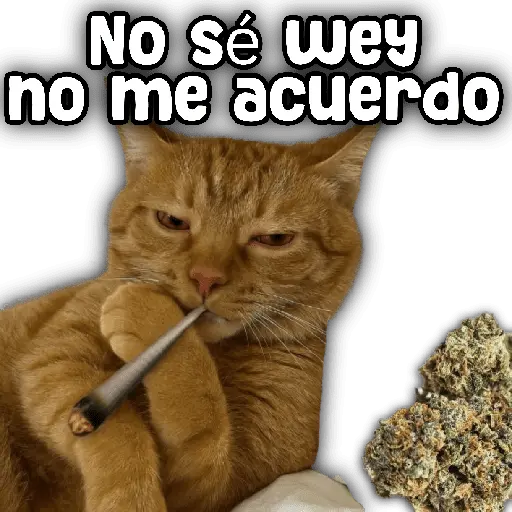 stickers_Animales_y_frases_📝🙂↕️