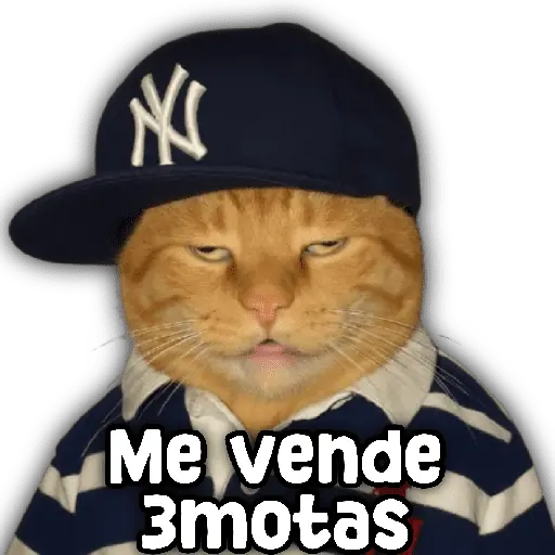 stickers_Animales_y_frases_📝🙂↕️