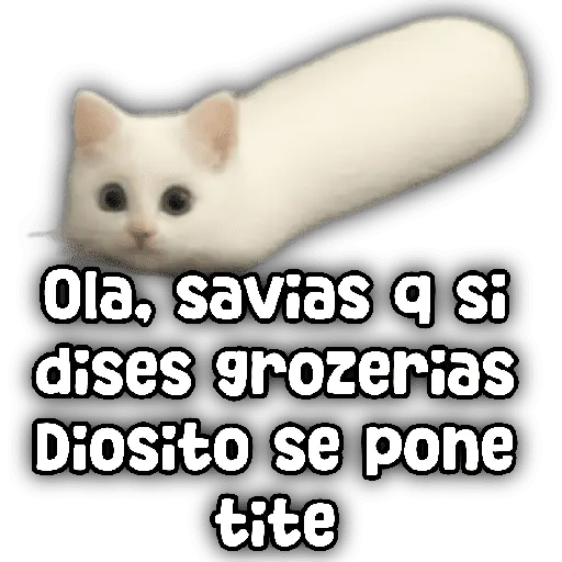 stickers_Animales_y_frases_📝🙂↕️