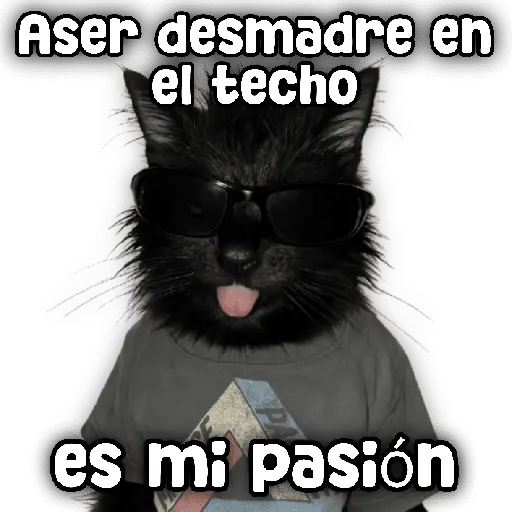 stickers_Animales_y_frases_📝🙂↕️