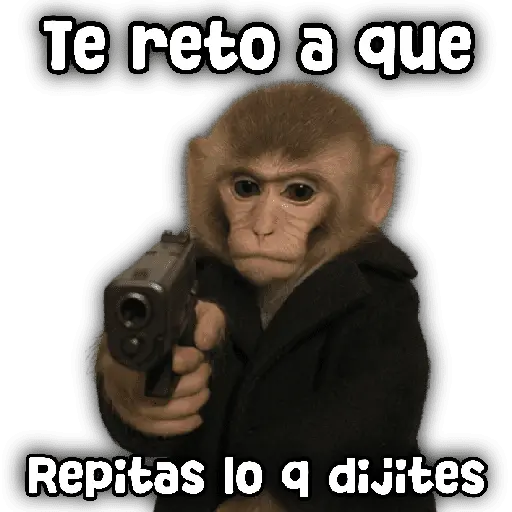 stickers_Animales_y_frases_📝🙂↕️