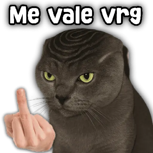 stickers_Animales_y_frases_📝🙂↕️