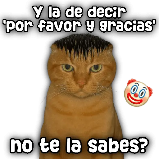 stickers_Animales_y_frases_📝🙂↕️