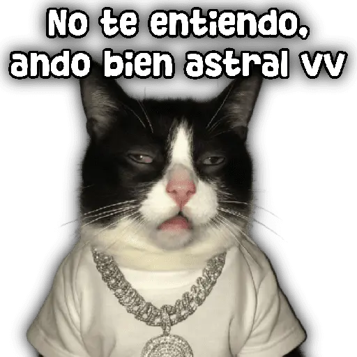 stickers_Animales_y_frases_📝🙂↕️