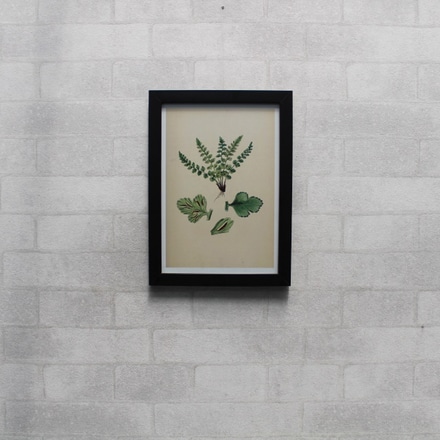 Quadro Botany main photo of Quadro Botany