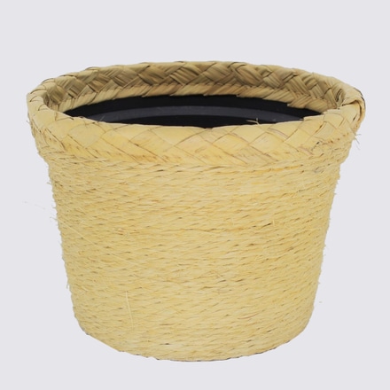 Vaso Corda Clara M Thais main photo of Vaso Corda Clara M Thais