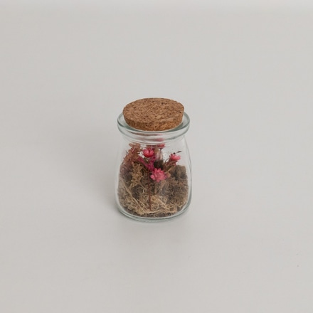 Vaso vidro flores secas pequeno main photo of Vaso vidro flores secas pequeno