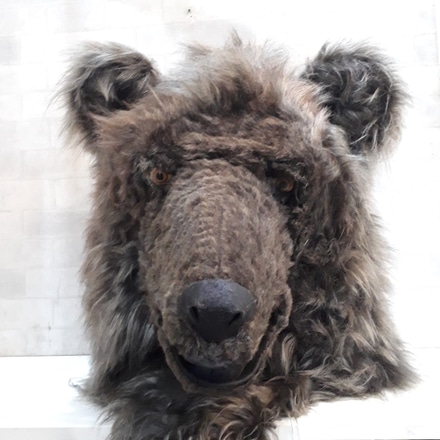 Fantasia de Urso main photo of Fantasia de Urso