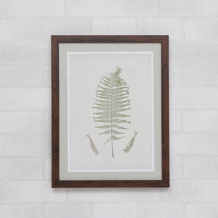 Quadro Botany main photo of Quadro Botany