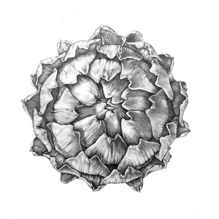 Artichoke main photo of Artichoke