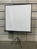 Projector Screen - Large