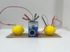 Lemon Battery Science Experiment