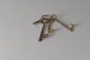 Four Brass Skeleton Keys on Ring