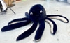 Cleared Octopus Stuffed Animal
