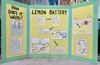 Lemon Batter Presentation Board