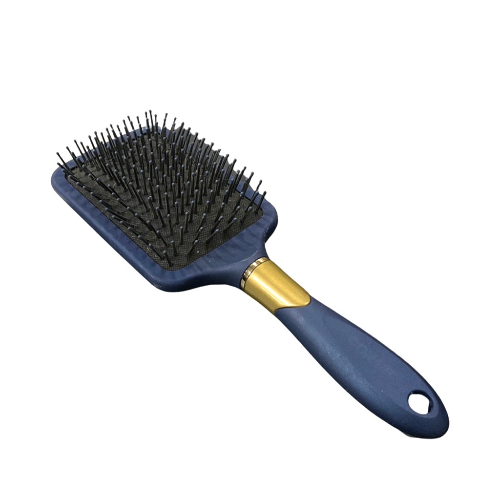 Blue Bristle Brush