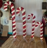 Light Up Candy Canes 72"