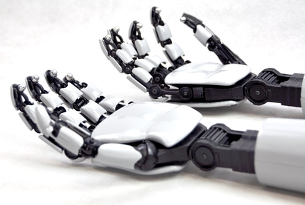 Robot Hands